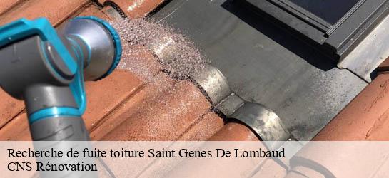 Recherche de fuite toiture  33670