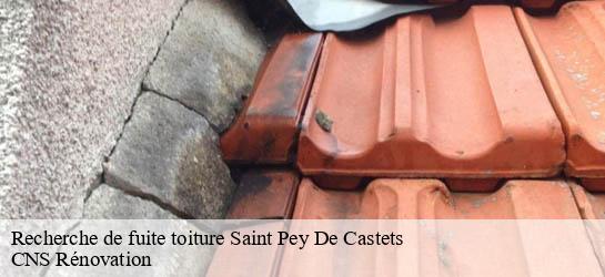 Recherche de fuite toiture  33350
