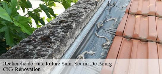 Recherche de fuite toiture 33710