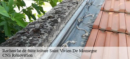 Recherche de fuite toiture  33580