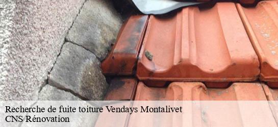 Recherche de fuite toiture  33930