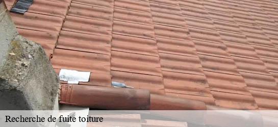 Recherche de fuite toiture  33720