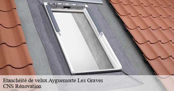 Etanchéité de velux  ayguemorte-les-graves-33640 CNS Rénovation