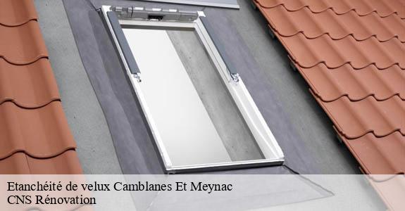 Etanchéité de velux  camblanes-et-meynac-33360 CNS Rénovation