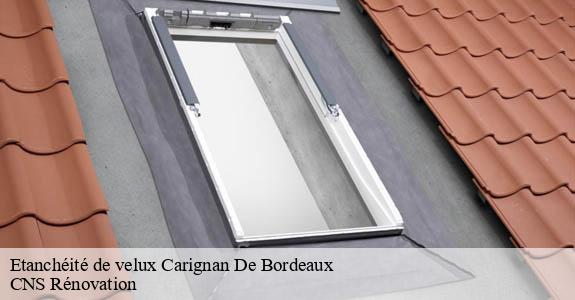 Etanchéité de velux  carignan-de-bordeaux-33360 CNS Rénovation