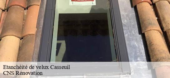 Etanchéité de velux  33190