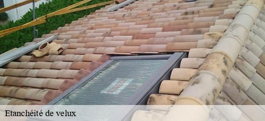 Etanchéité de velux  33430