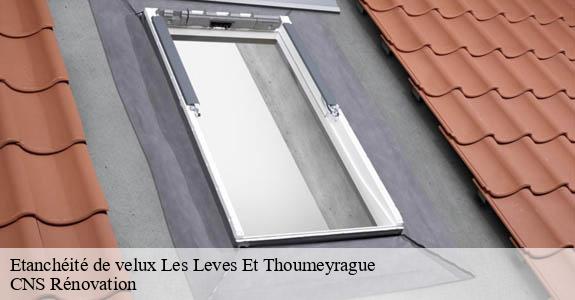 Etanchéité de velux  les-leves-et-thoumeyrague-33220 CNS Rénovation