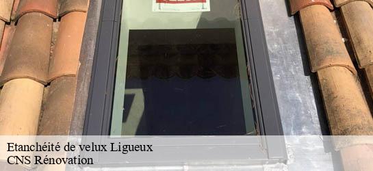 Etanchéité de velux 33220