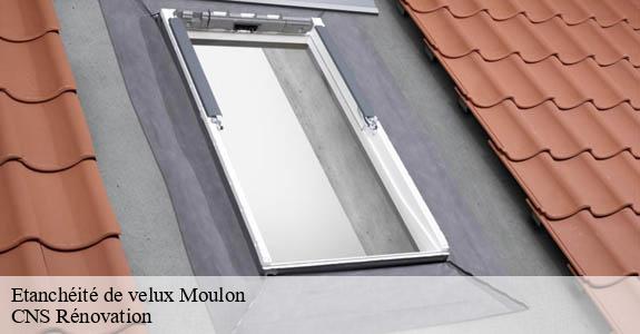 Etanchéité de velux  moulon-33420 CNS Rénovation