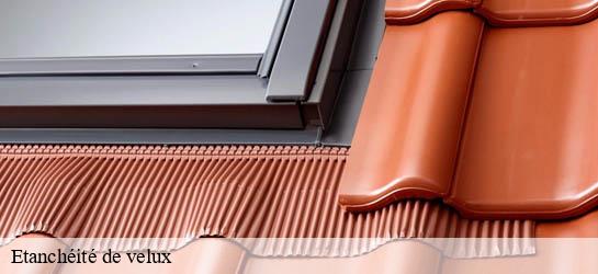 Etanchéité de velux  33730