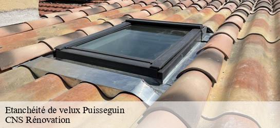 Etanchéité de velux  33570