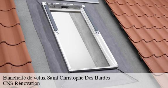 Etanchéité de velux  saint-christophe-des-bardes-33330 CNS Rénovation