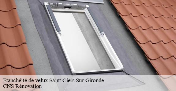 Etanchéité de velux  saint-ciers-sur-gironde-33820 CNS Rénovation