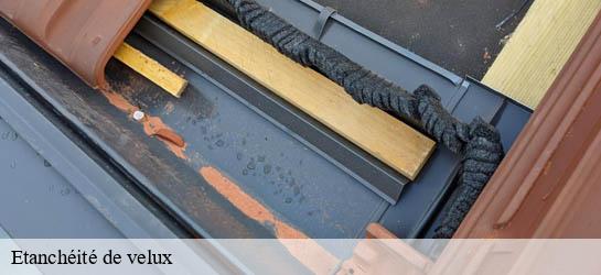 Etanchéité de velux  33670