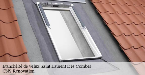 Etanchéité de velux  saint-laurent-des-combes-33330 CNS Rénovation