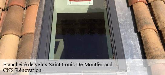 Etanchéité de velux 33440