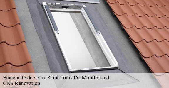Etanchéité de velux  saint-louis-de-montferrand-33440 CNS Rénovation