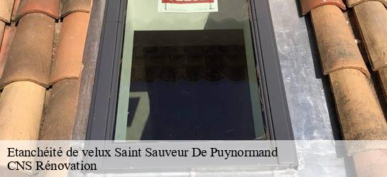 Etanchéité de velux  33660
