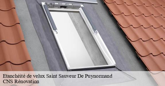 Etanchéité de velux  saint-sauveur-de-puynormand-33660 CNS Rénovation