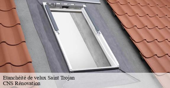 Etanchéité de velux  saint-trojan-33710 CNS Rénovation