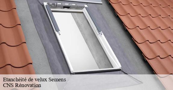 Etanchéité de velux  semens-33490 CNS Rénovation