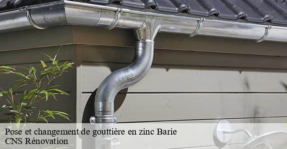 Pose et changement de gouttière en zinc  barie-33190 CNS Rénovation