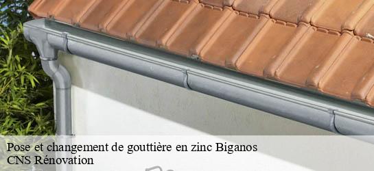 Pose et changement de gouttière en zinc  33380