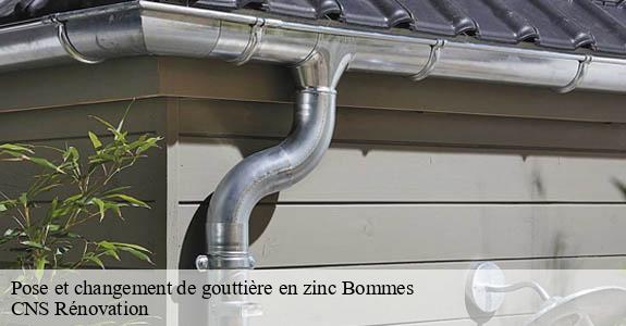 Pose et changement de gouttière en zinc  bommes-33210 CNS Rénovation