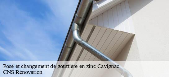 Pose et changement de gouttière en zinc  33620