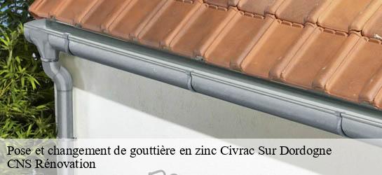 Pose et changement de gouttière en zinc 33350