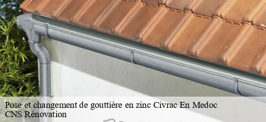 Pose et changement de gouttière en zinc 33340