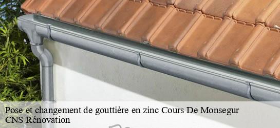 Pose et changement de gouttière en zinc  33580