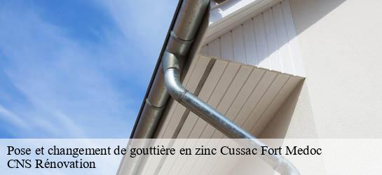 Pose et changement de gouttière en zinc  33460