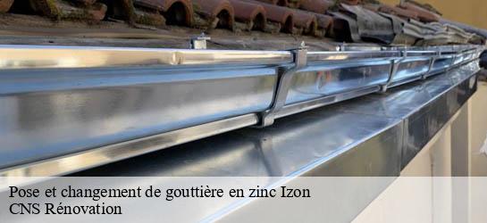 Pose et changement de gouttière en zinc  33450
