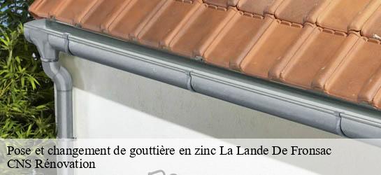 Pose et changement de gouttière en zinc  33240