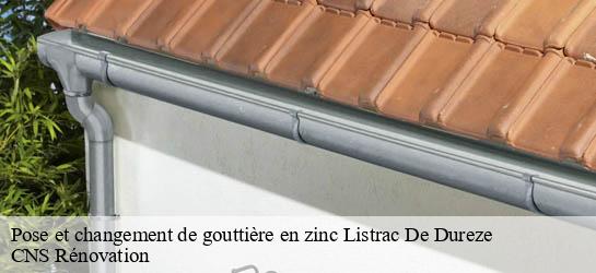 Pose et changement de gouttière en zinc  33790