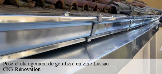 Pose et changement de gouttière en zinc  33570