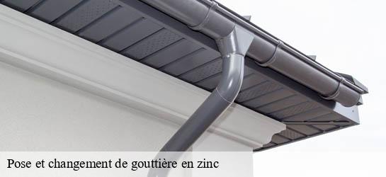 Pose et changement de gouttière en zinc  33230