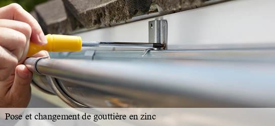 Pose et changement de gouttière en zinc  33230