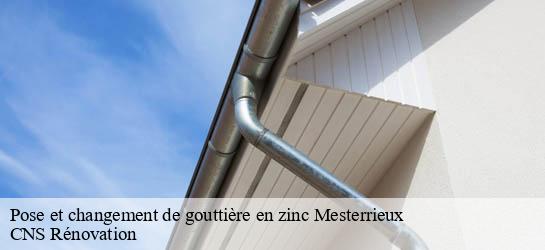 Pose et changement de gouttière en zinc  33540