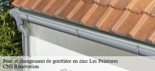 Pose et changement de gouttière en zinc  33230
