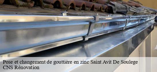 Pose et changement de gouttière en zinc  33220