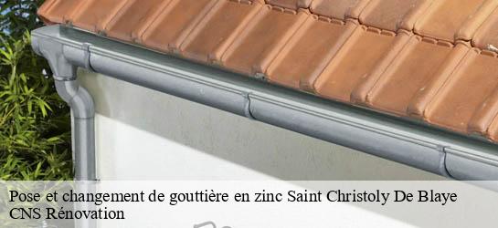 Pose et changement de gouttière en zinc  33920