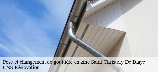 Pose et changement de gouttière en zinc  33920
