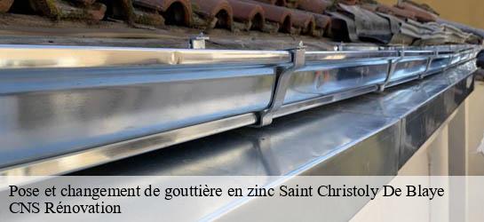 Pose et changement de gouttière en zinc  33920