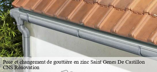 Pose et changement de gouttière en zinc  33350