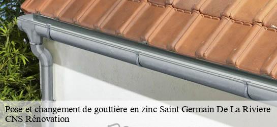Pose et changement de gouttière en zinc  33240