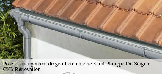 Pose et changement de gouttière en zinc  33220