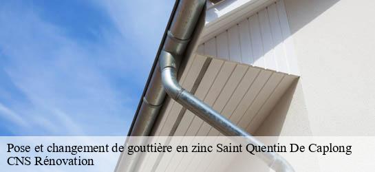 Pose et changement de gouttière en zinc  33220